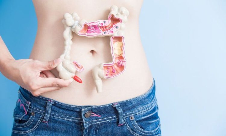 nosimata-toy-enterou-img-001